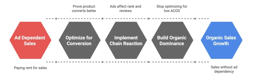 A process flow diagram explains how to optimize for conversion and build organic dominance for sellers.