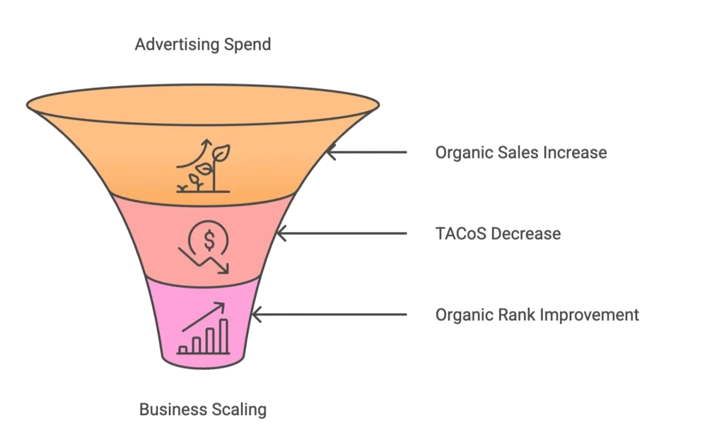 An orange funnel shows how business scaling leads to increased organic sales and decreased TACoS.