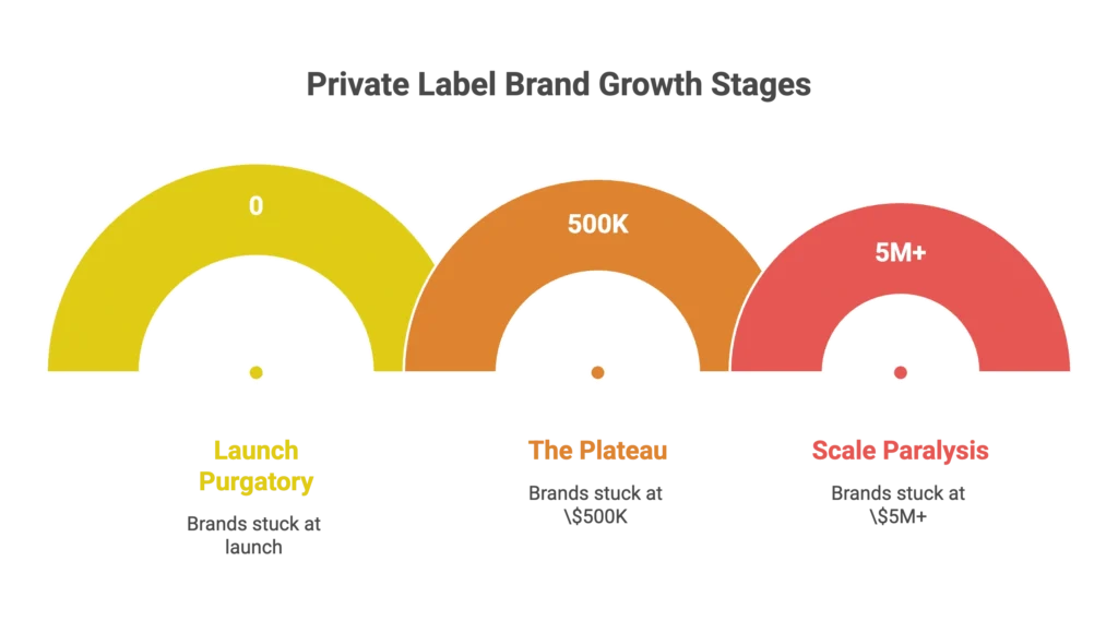 A colorful arc displays private label brand growth stages from launch to scaling with an Amazon agency.