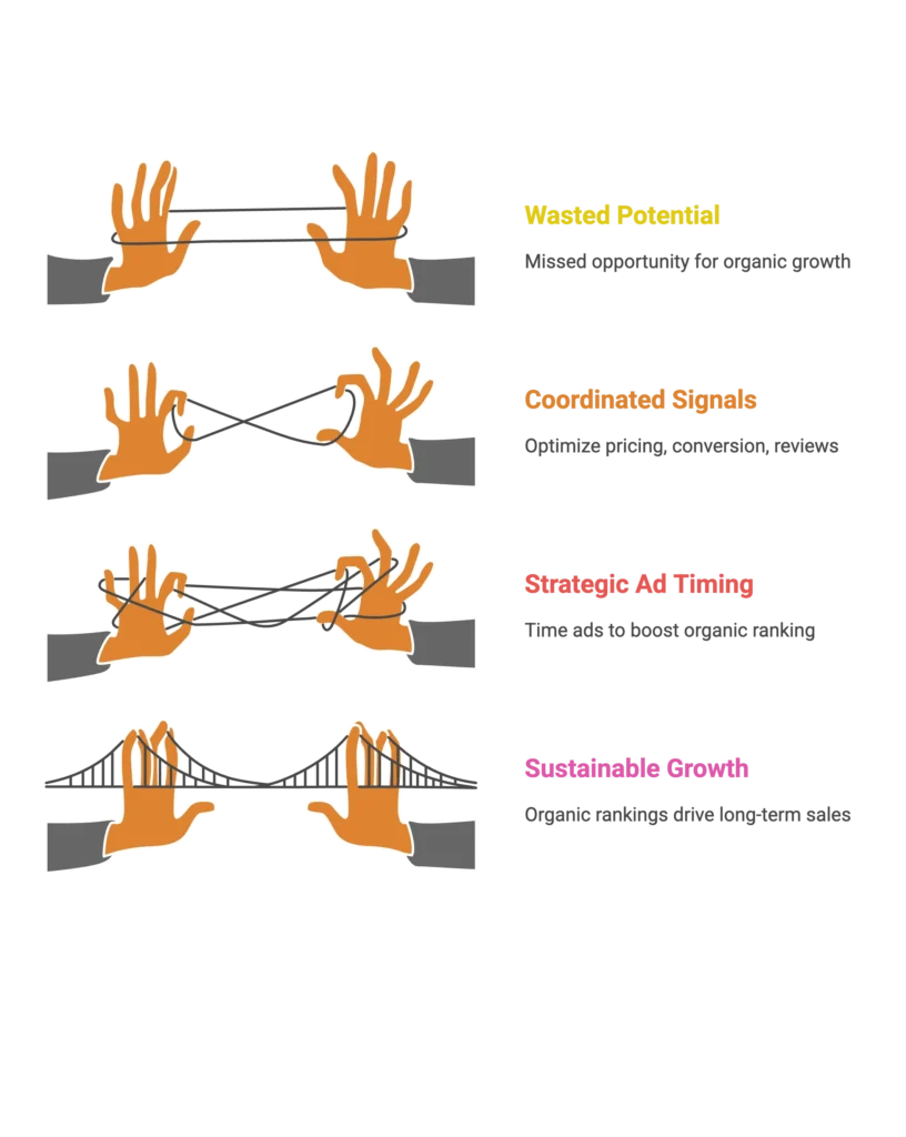Hands holding strings demonstrate how to coordinate signals and achieve sustainable growth with an Amazon agency.