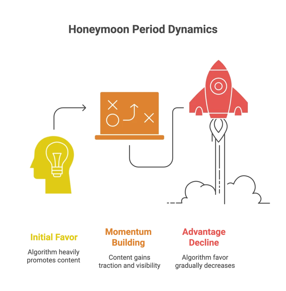 A rocket ship icon illustrates honeymoon period dynamics, including momentum building and advantage decline.